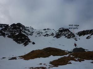 Central Gully, Ben Lui: Looking up the headwall of Coire Gaothaich Photo: Scott Muir