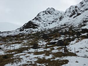 A Gully, Corrie Fee, Mayar: Crossing the deer fence below A Gully and B Gully  Photo: Scott Muir