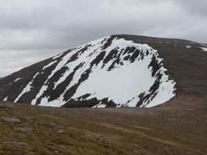 Coire an Lochain Uaine, Cairn Toul: The view from the Cairn Toul - Sgor an Lochain Uaine col, May 2014 Photo: Scott Muir