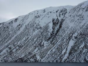 The Ruch Gruip, Loch Muick Basin: Looking into the Ruch Gruip, from the west side of the Glas-allt-Shiel Photo: Scott Muir