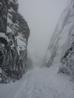 Looking down Number 2 Gully from about the midpoint of the gully.  Photo: Scott Muir