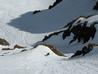 In the short chute that cuts into Central Gully  Photo: Scott Muir