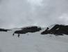 Heading up into Col Gully, May 2014  Photo: Scott Muir